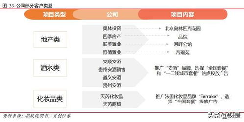 兆訊傳媒研究報(bào)告 開(kāi)拓不止，賽道領(lǐng)航 —— 數(shù)字廣告發(fā)布的變革先鋒與未來(lái)引領(lǐng)者